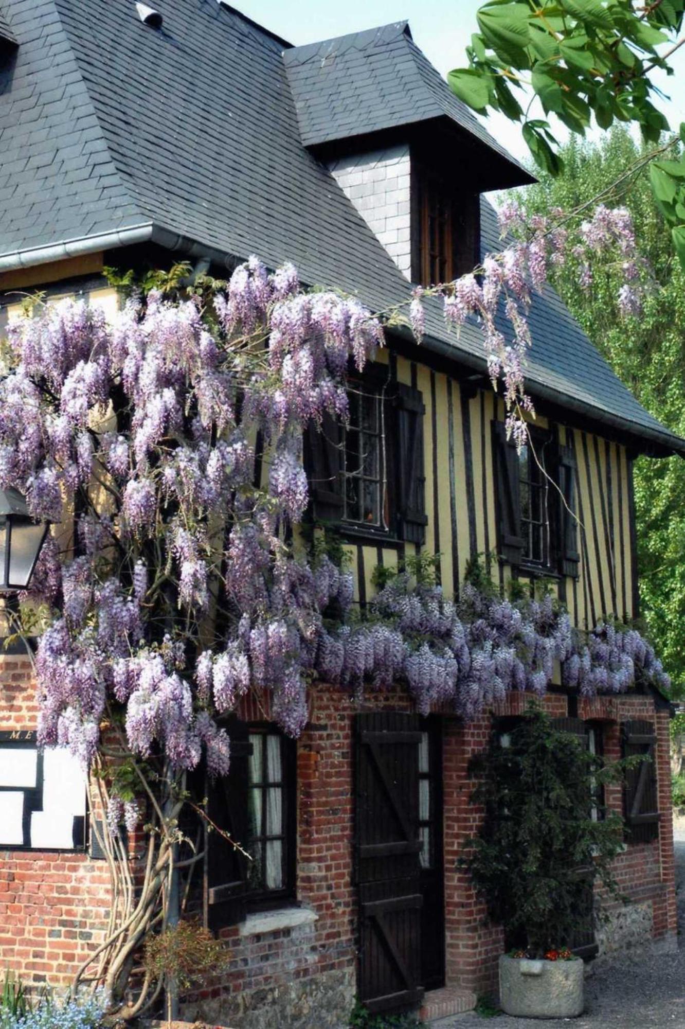 Du Val Au Cesne Maison d'hôtes